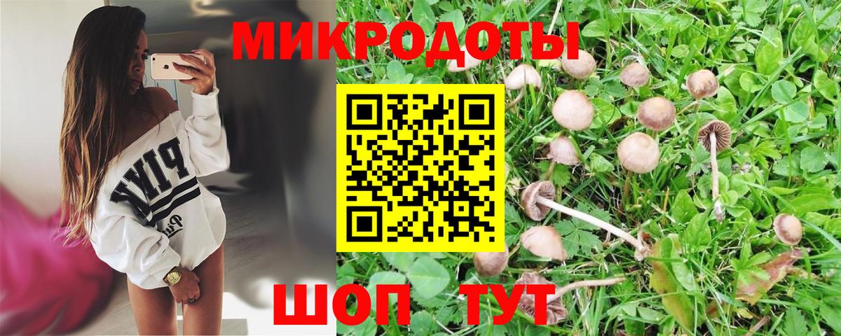 магазин продажи   Вход с VPN  Нижнеудинск  Галлюциногенные грибы прущие грибы 